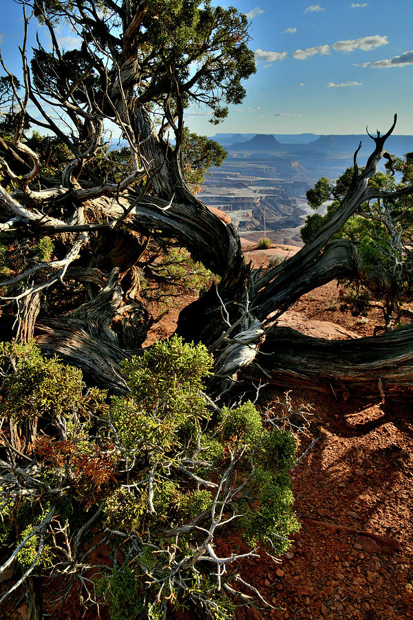 Green River Overlook in Canyonlands NP Photograph by Ray Mathis