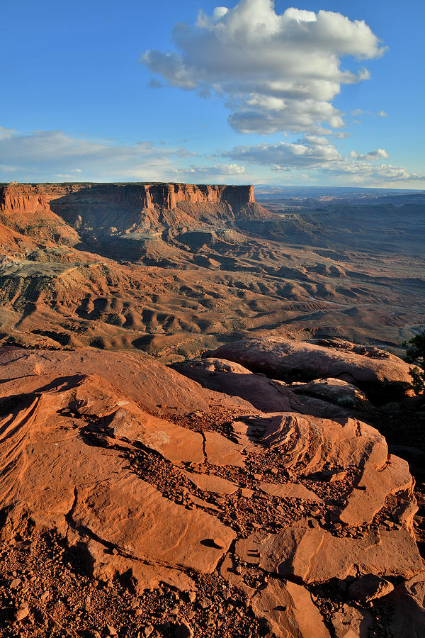 Green River Overlook Rim in Canyonlands NP Photograph by Ray Mathis