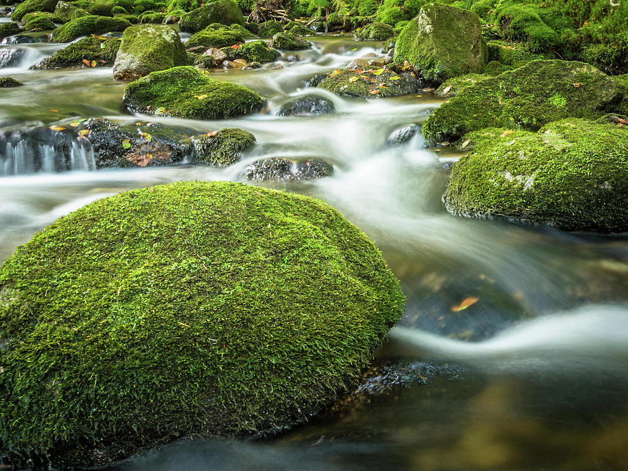 Green Photograph - Green River by Toby Luxberg Green Photograph - Green River by Toby Luxberg