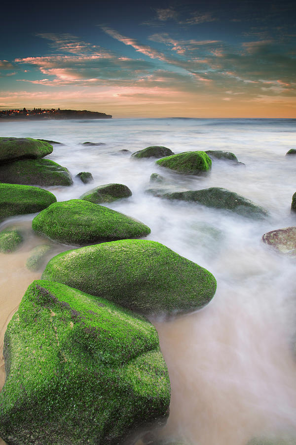 Green Rocks At Curl Curl Beach Photograph by Yury Prokopenko