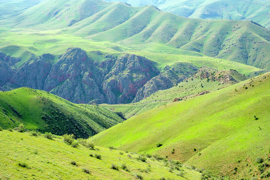 Mountain Photograph - Green Rugged Valley Landscape Near Zangakatun, Ararat Province, Armenia. by Cavan Images