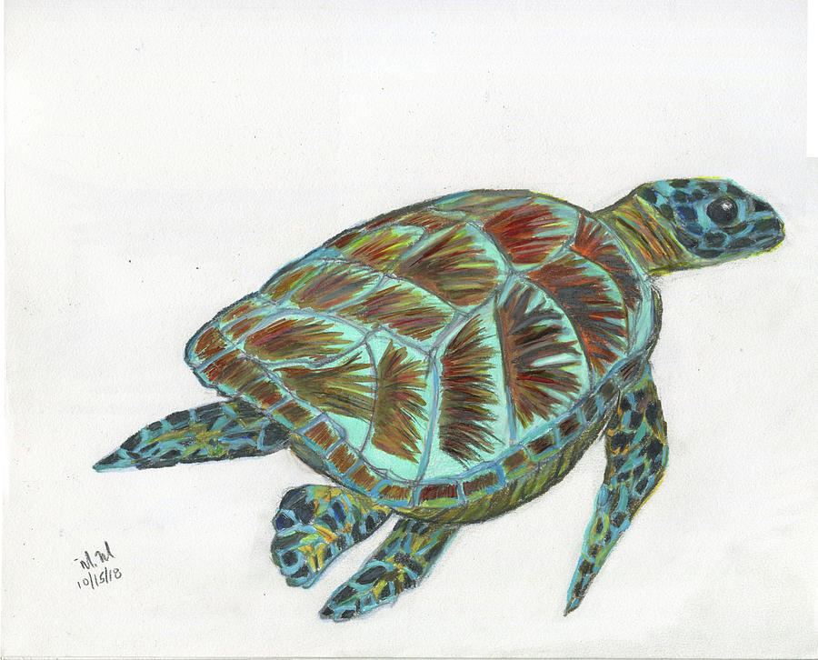 Detroit Mixed Media - Green Sea Turtle by Merrill Mitchell