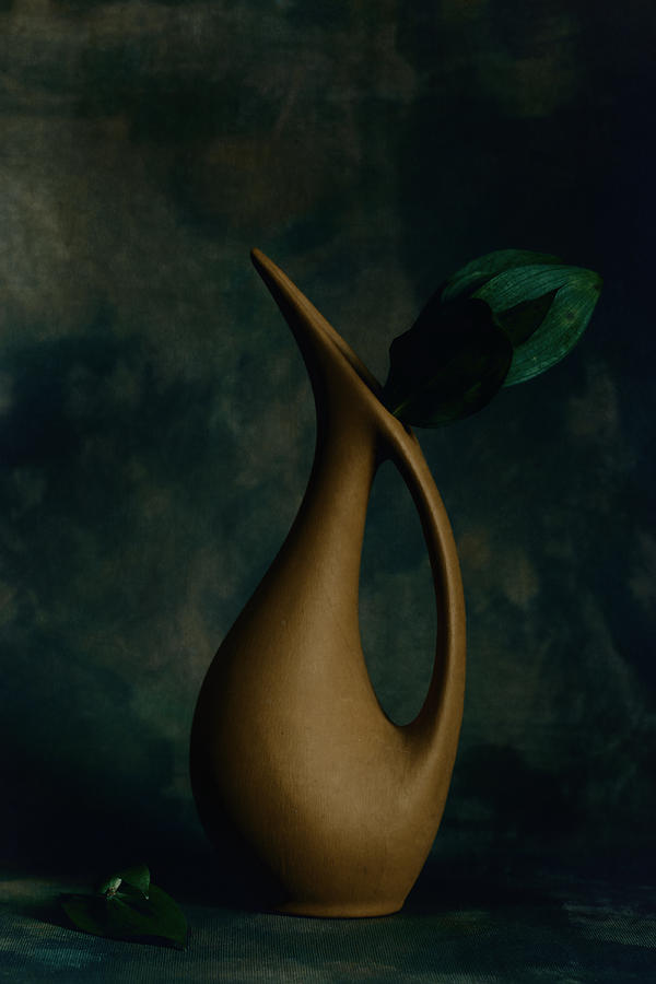 Vase Photograph - Green Shadows by iek K?ral
