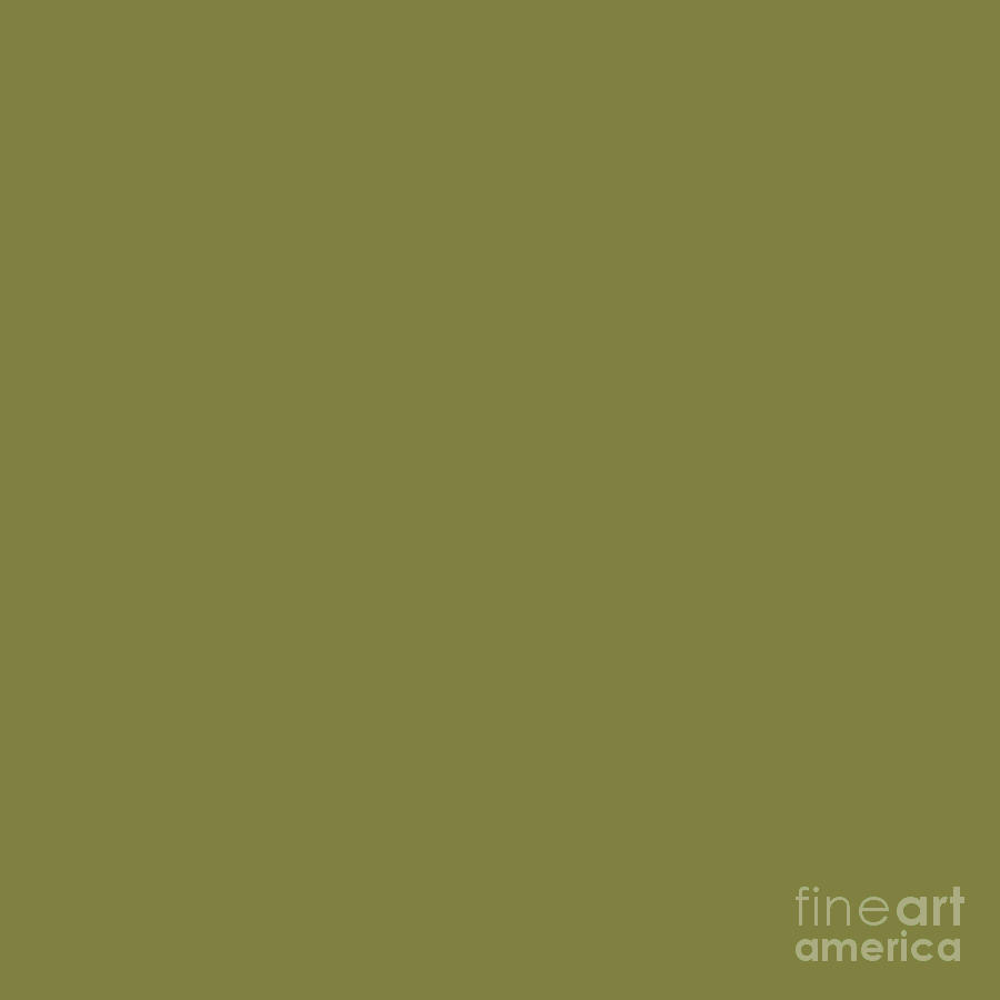 Green Solid Color by Delynn Addams for Home Decor Digital Art by Delynn Addams