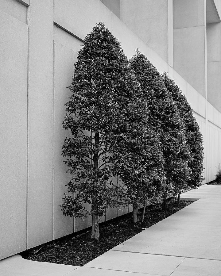 Green Space by Patrick M Lynch Green Space by Patrick M Lynch