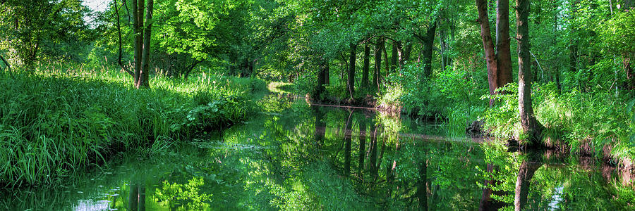 Green Spreewald Photograph by Sun Travels