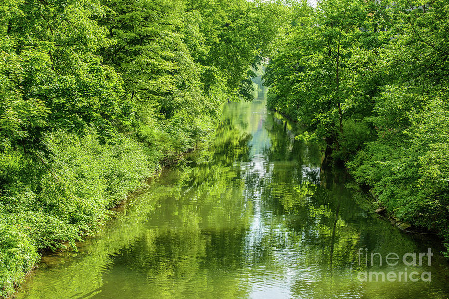 Green Spring paradise tranquil River Scene with Green Lush Trees, shrubs and  Bushes at the Riverbank Photograph by Ulrich Wende