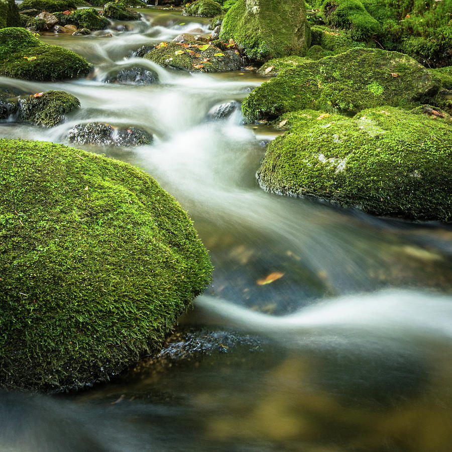 River Photograph - Green Stones River by Toby Luxberg River Photograph - Green Stones River by Toby Luxberg