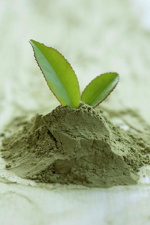 Green Tea Powder Photograph By Martina Schindler Fine Art America   Green Tea Powder Martina Schindler 