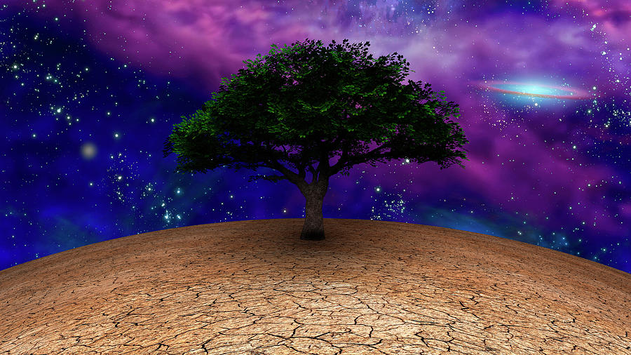 Green Tree Of Life In Arid Land Photograph by Bruce Rolff