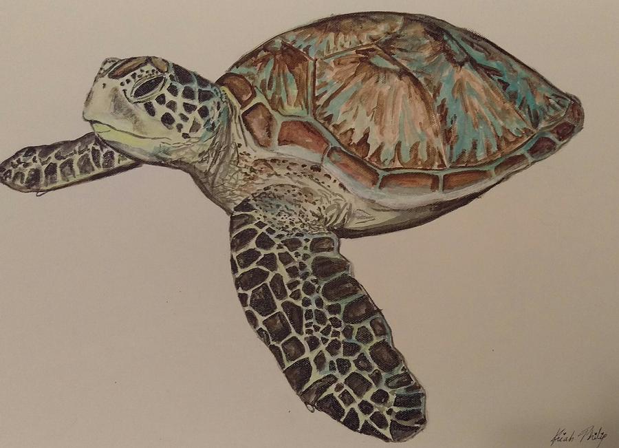 Green Turtle Painting by Kiah Philip - Fine Art America