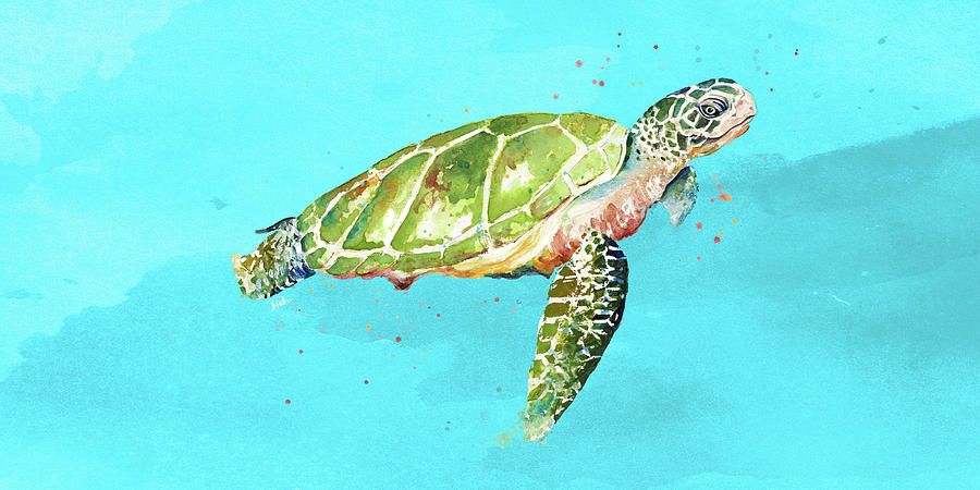 Green Turtle On Light Blue Mixed Media by Patricia Pinto