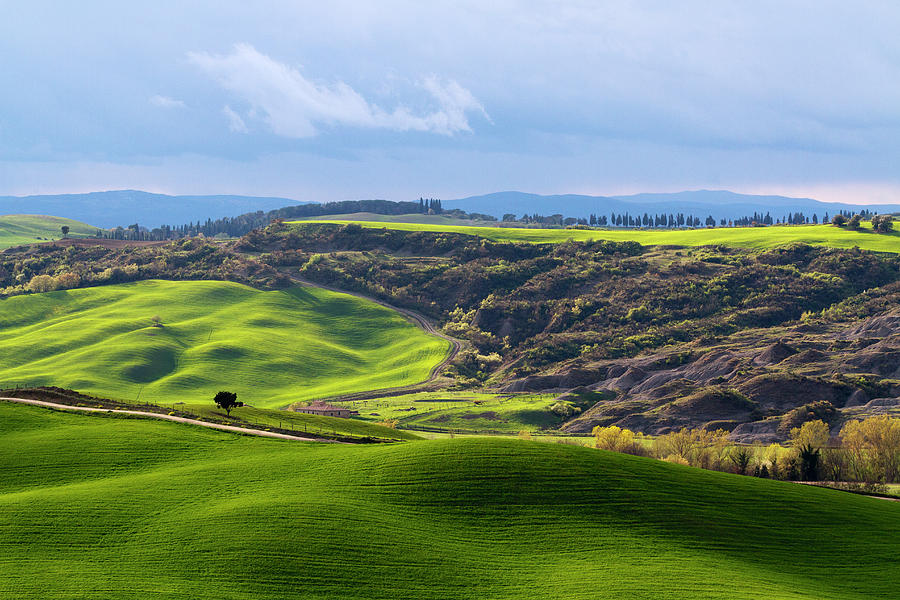 Green Tuscany Photograph by Matteo Cerreia Vioglio