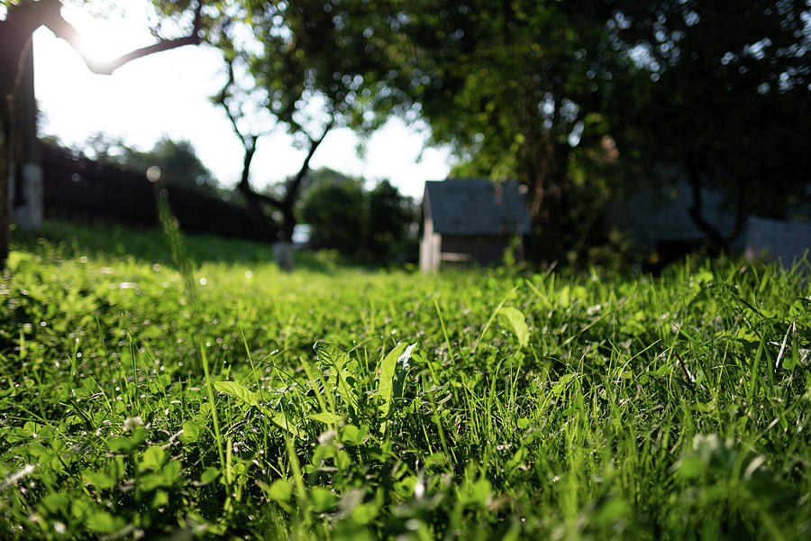 Green Photograph - Green Vantage Point by Razvan Lungu Green Photograph - Green Vantage Point by Razvan Lungu