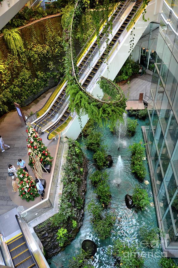 Green vertical interior design of Emquartier shopping mall dining floors Bangkok Thailand Photograph by Imran Ahmed