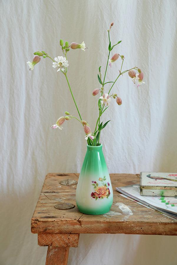 Green Vintage Vase Of Wild Flowers bladder Campion On Rustic Wooden Stool In Front Of White Linen Curtain Photograph by Revier 51