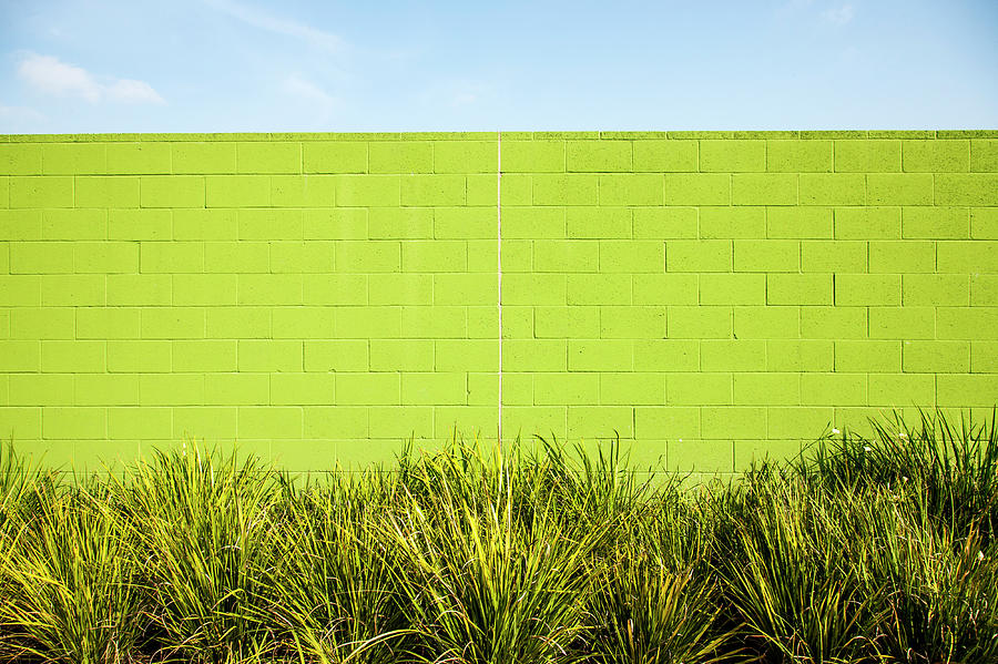 Green Wall With Plants Photograph by Christian Adams