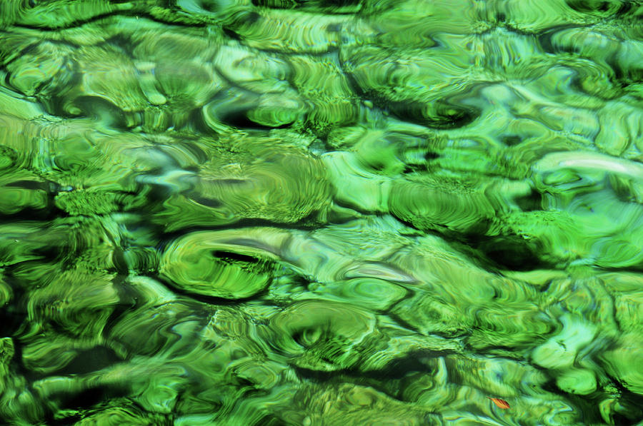 Green Waters Photograph by Rishi Menon