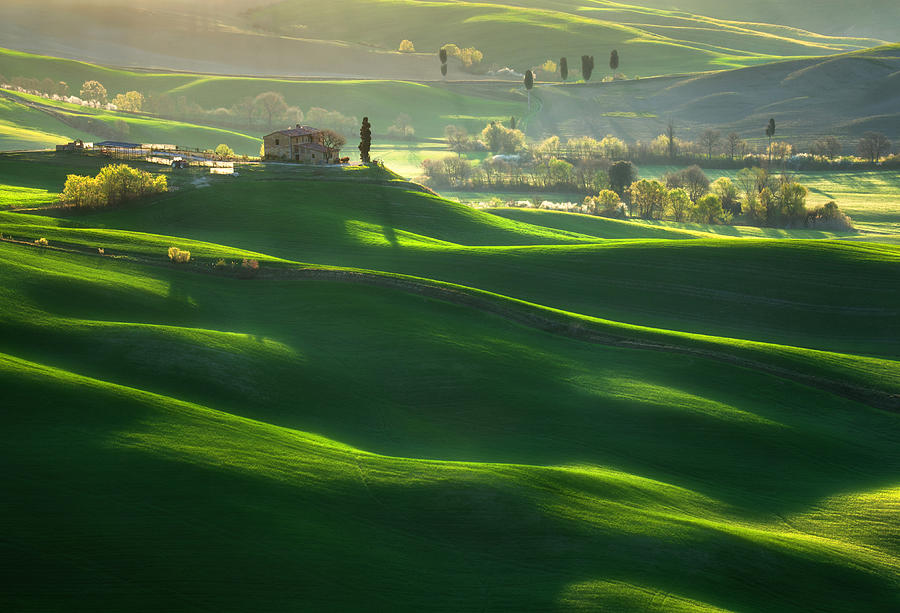 Green Waves... Photograph by Krzysztof Browko