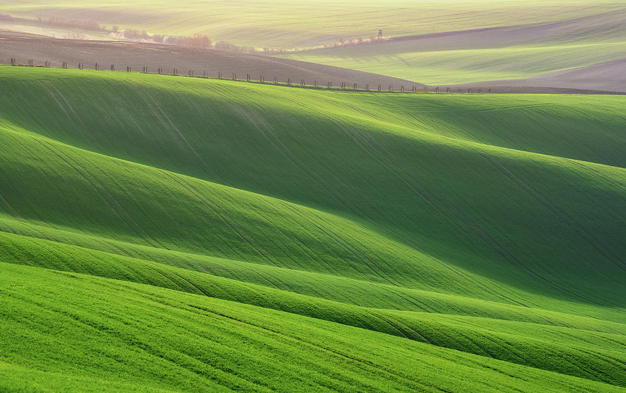 Green Waves of Rolling Hills by Vlad Sokolovsky Green Waves of Rolling Hills by Vlad Sokolovsky
