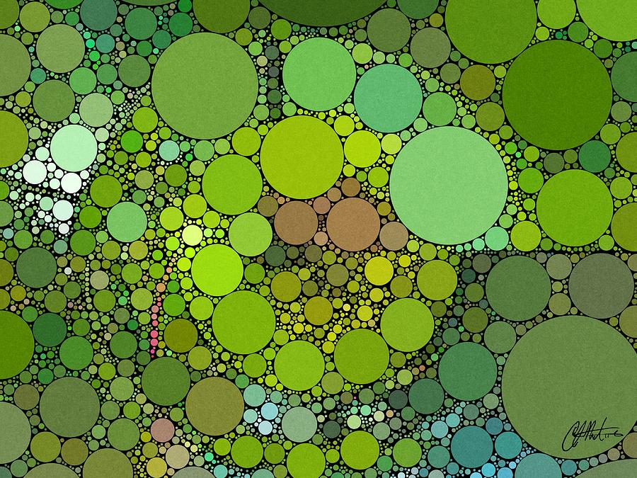 Abstract Digital Art - Green with Envy by Chris Montcalmo