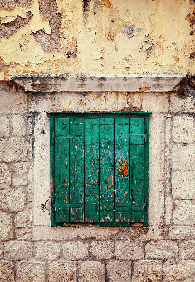 Green wooden window shutter Photograph by Sophie McAulay