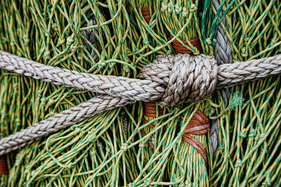 Rope Photograph - Green Yellow Fishing Nets by Carol Leigh