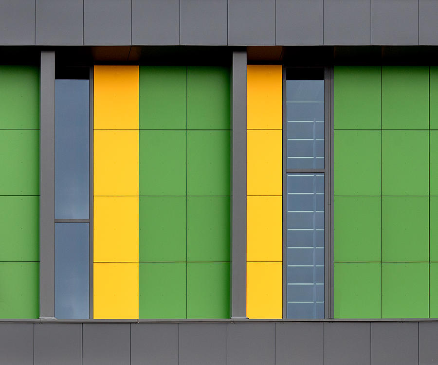 Green-yellow Photograph by Theo Luycx