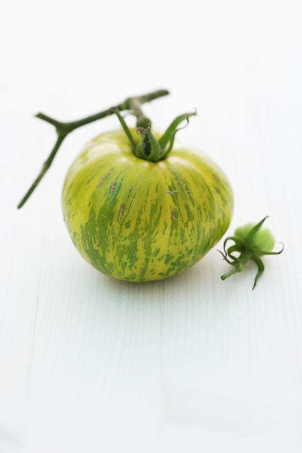 green Zebra tomato Variety Photograph by Michael Wissing