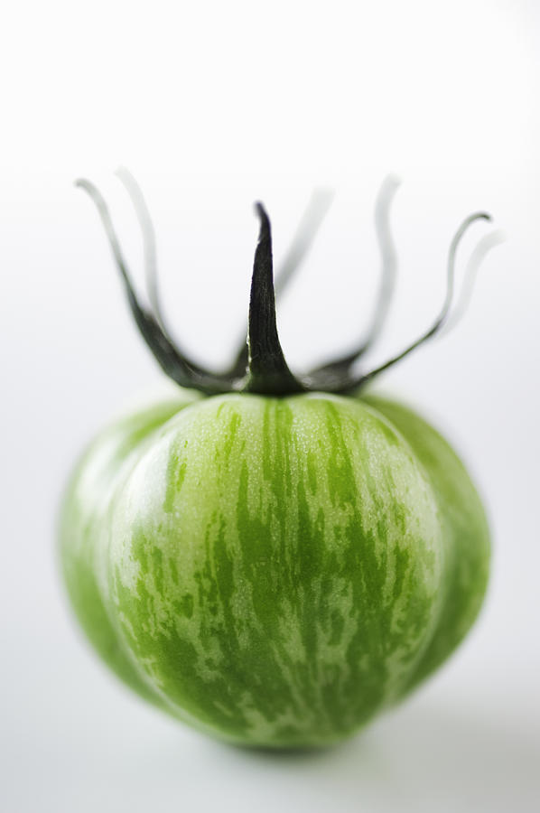 Green Zebra Tomato Photograph by Wataru Yanagida