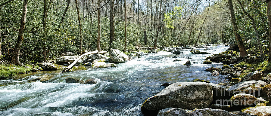 Greenbrier, Great Smoky Mountains National Park Photograph by Felix Lai