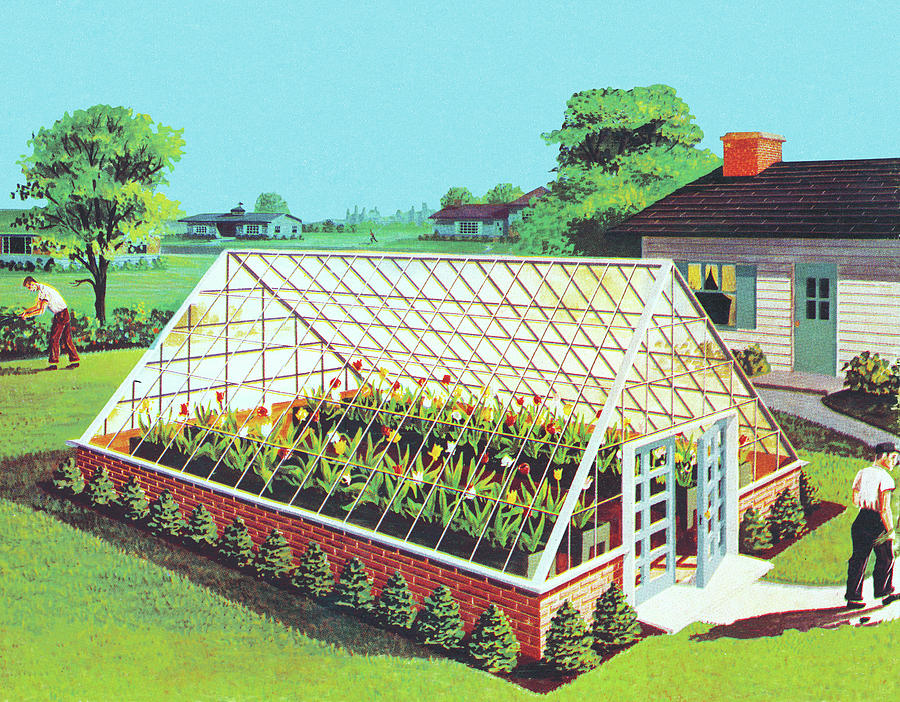 Vintage Drawing - Greenhouse in Backyard by CSA Images