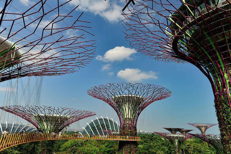 Greenhouse, Towers And Walk-in Platform Of Gardens By The Bay, Singapore Photograph by Torsten Rathjen