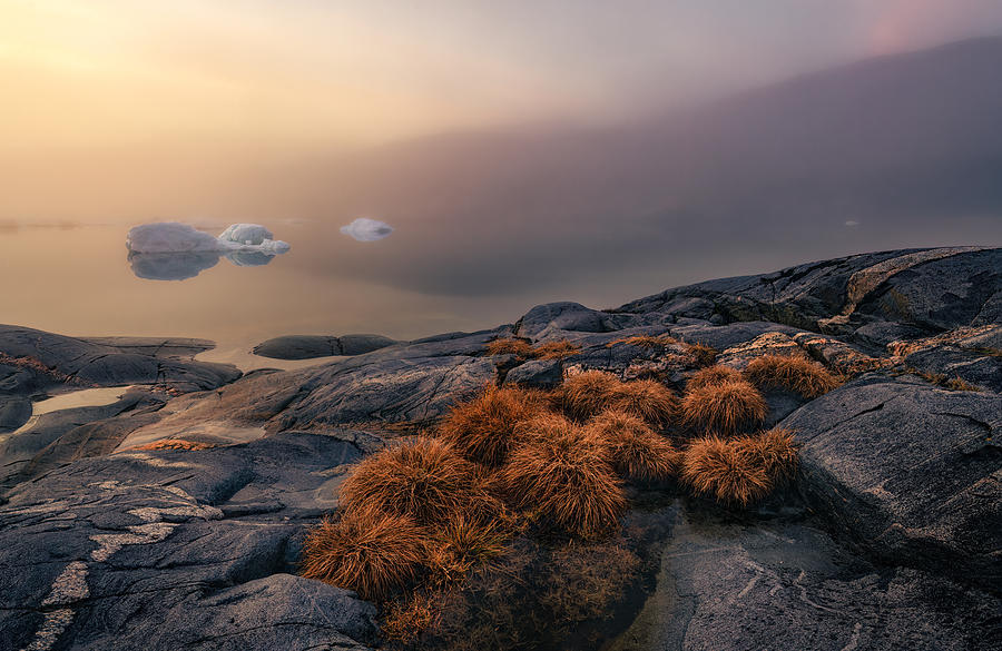Sunset Photograph - Greenland Flora by Haim Rosenfeld