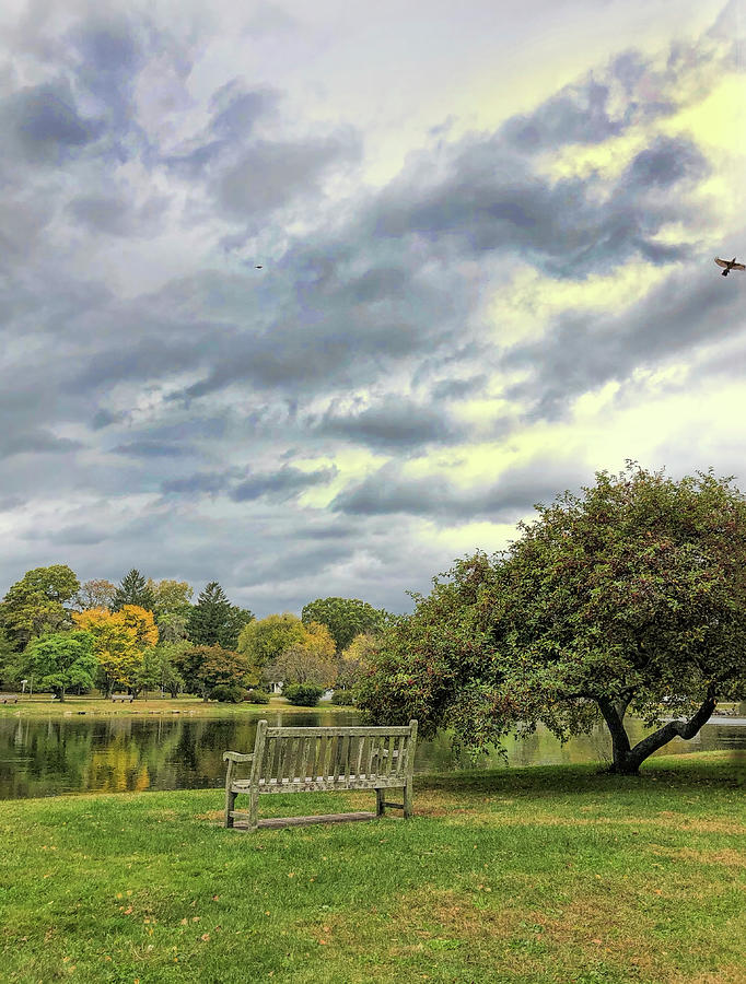 Cloudy Day at the Park  Photograph by Cordia Murphy