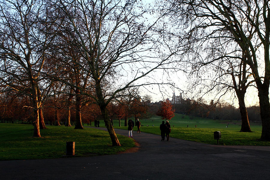 Greenwich Park, London, England Photograph by Aidan Moran