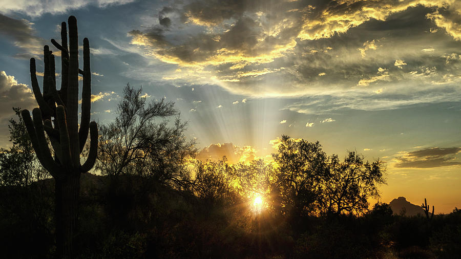Sunset Photograph - Greet The Desert Skies  by Saija Lehtonen