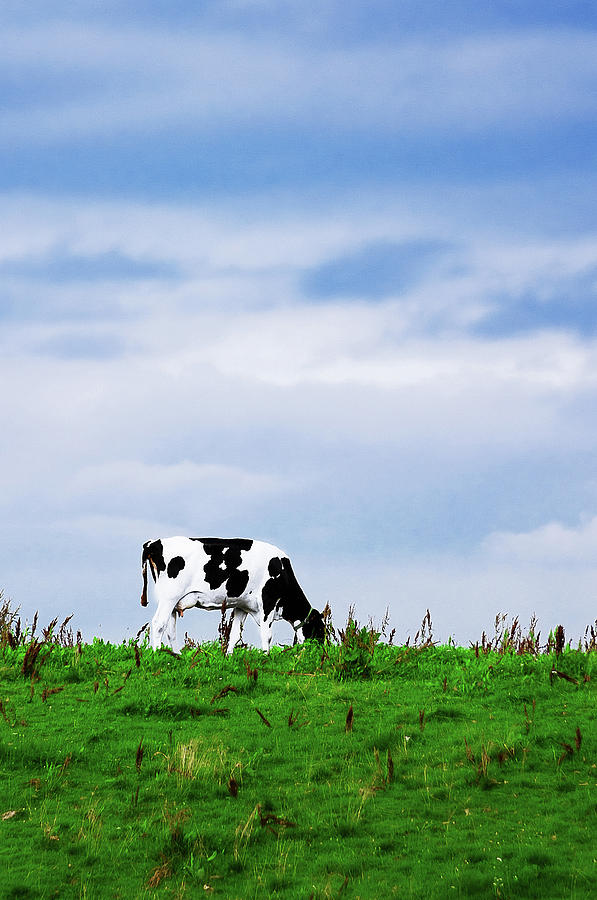 Greetings From The Dairy Factory Photograph by Photo By Patric Ivan