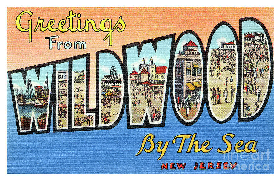 Wildwood Greetings - Version 4 Photograph by Mark Miller