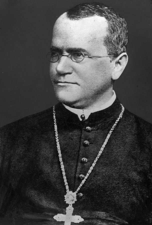 Gregor Mendel Photograph by Hulton Archive - Fine Art America