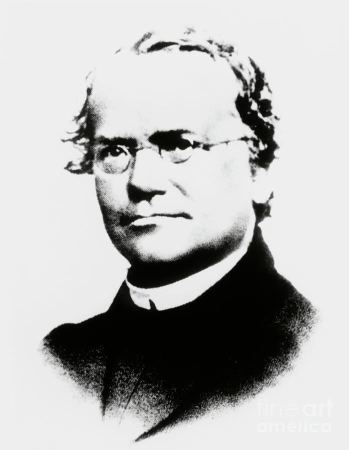 Gregor Mendel Photograph by National Library Of Medicine/science Photo Library