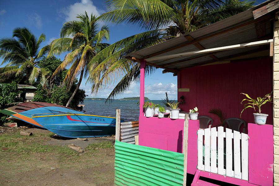 Grenada, Caribbean, Colorful House Digital Art by Tim Mannakee