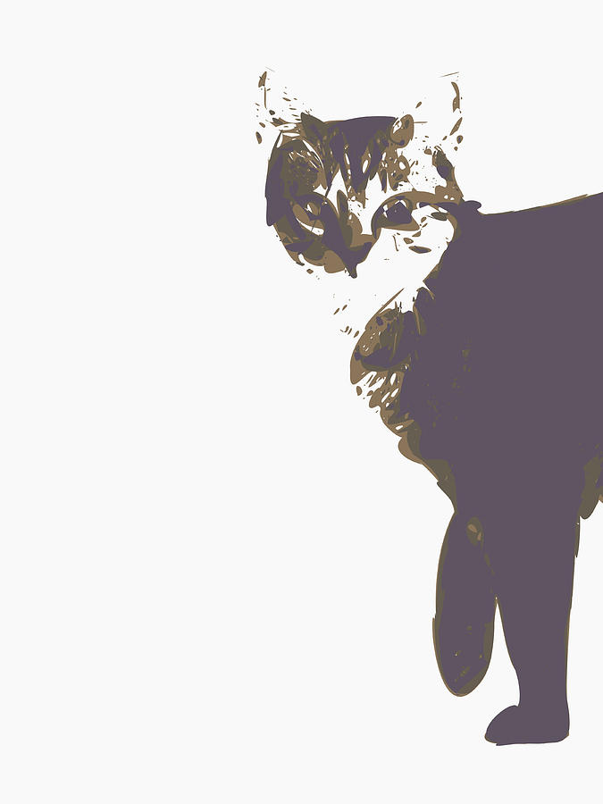Grey Cat  Digital Art by Keshava Shukla
