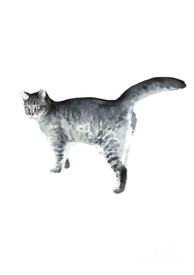 Cat Painting - Grey Cat Painting Domestic Animal Poster Nursery Greyish Kitty by Joanna Szmerdt