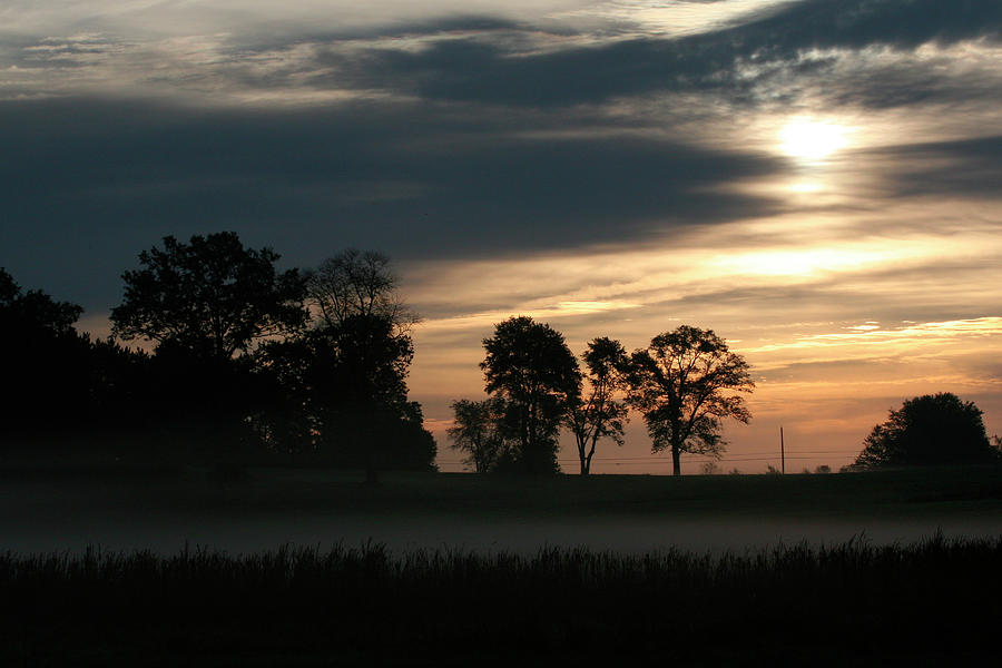 Tree Photograph - Grey Dawn Wetland by Robert Goldwitz
