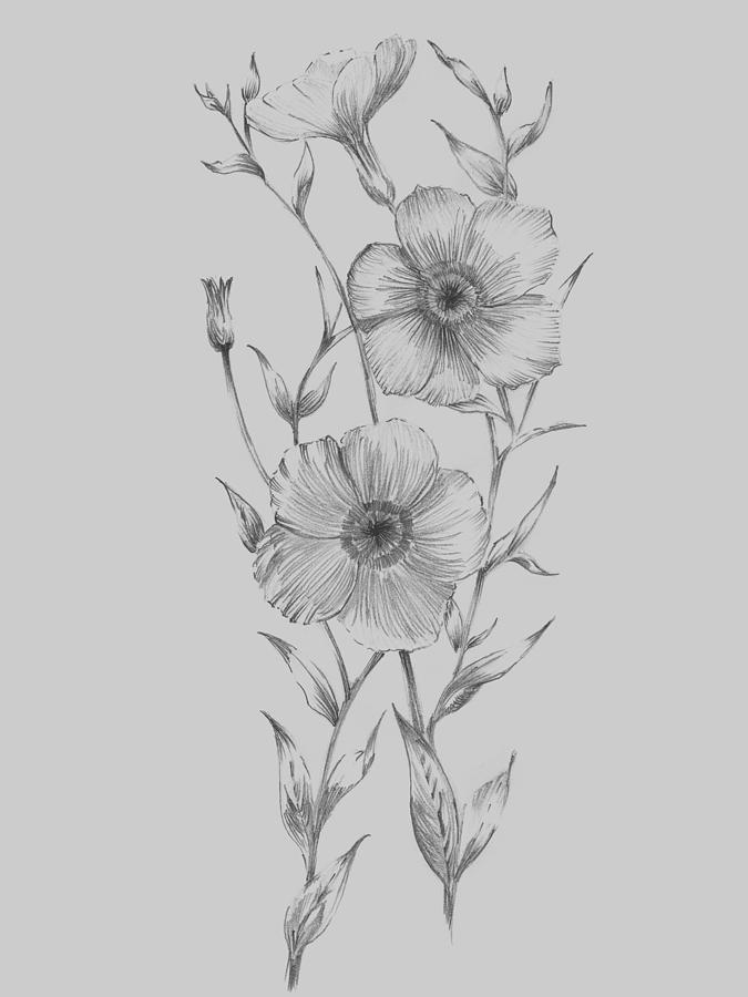 Flower Mixed Media - Grey Flower Sketch Illustration I by Naxart Studio