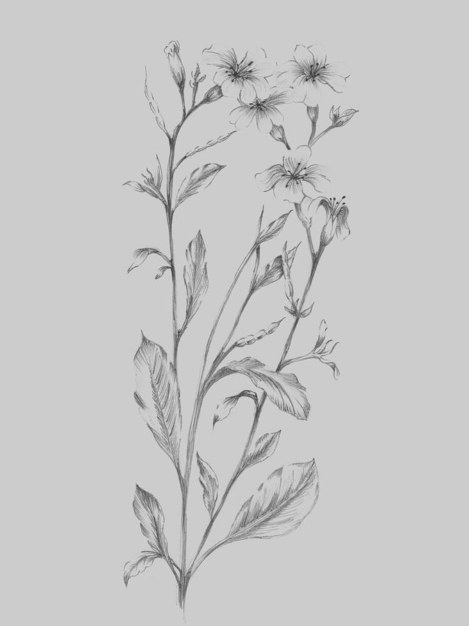 Flower Mixed Media - Grey Flower Sketch Illustration by Naxart Studio