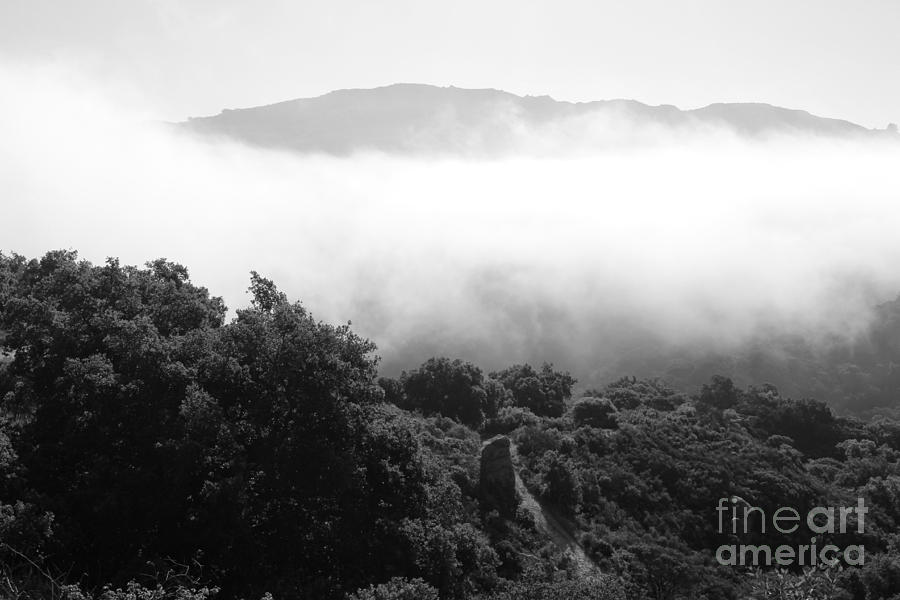 Grey Fog Photograph by Katherine Erickson