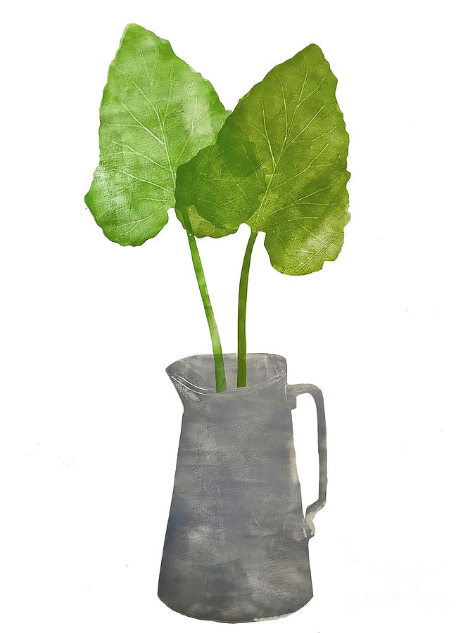 Grey Jug With Leaves Painting by Sarah Thompson-engels