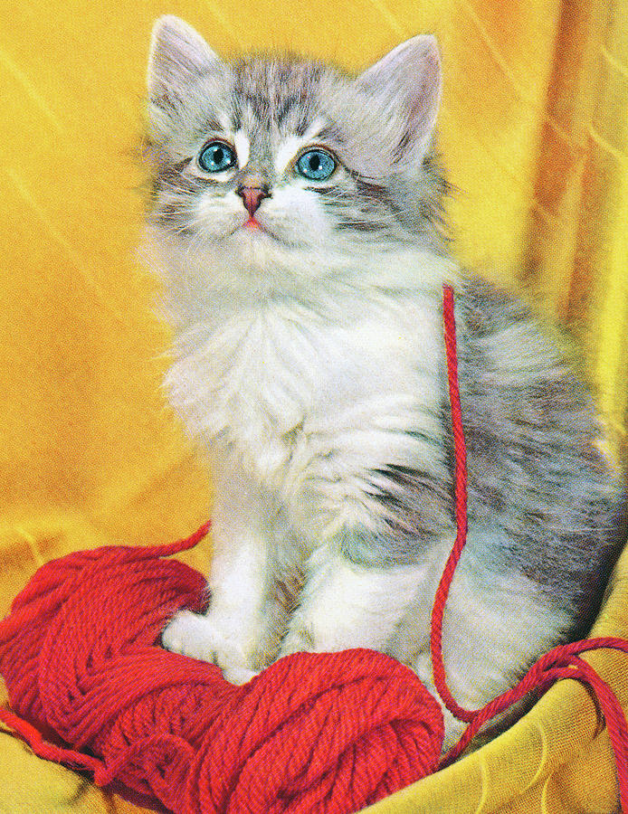 Vintage Drawing - Grey Kitten With Yarn by CSA Images